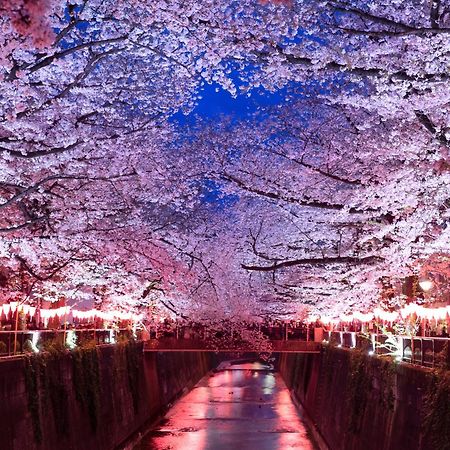 The Westin Tokyo Hotel Exterior foto